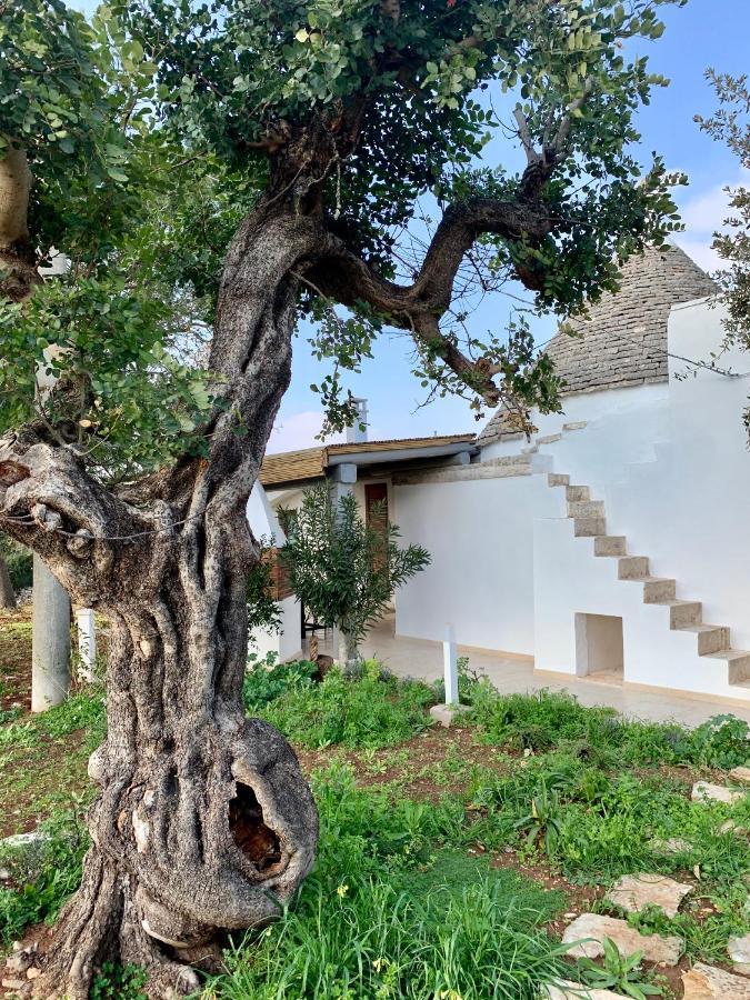 Trullo Labellavita Putignano Extérieur photo